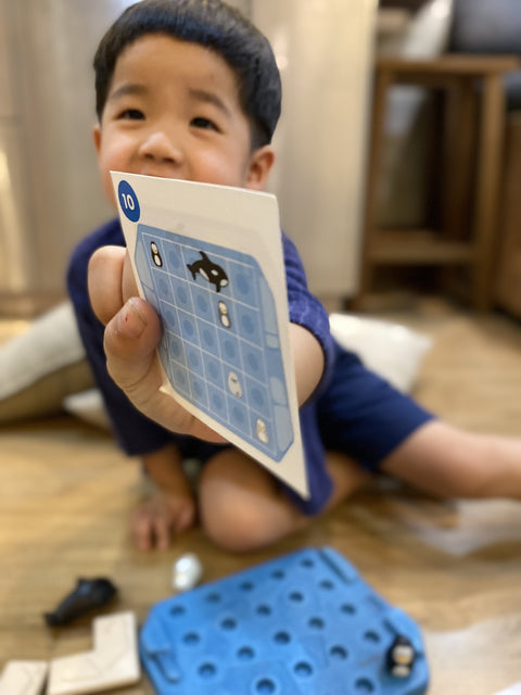 Finding Penguin Game - www.toybox.ae