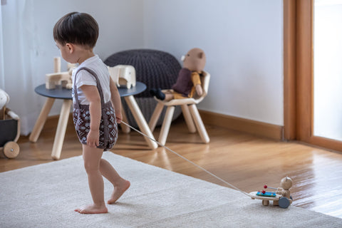 Pull-Along Musical Bear - www.toybox.ae