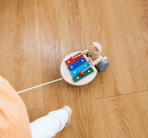 Pull-Along Musical Bear - www.toybox.ae