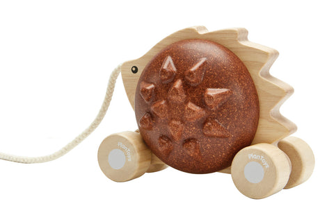 Pull - Along Hedgehog - Brown - www.toybox.ae