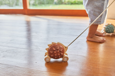 Pull - Along Hedgehog - Brown - www.toybox.ae