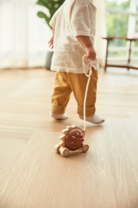 Pull - Along Hedgehog - Brown - www.toybox.ae