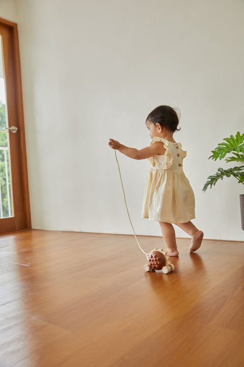 Pull - Along Hedgehog - Brown - www.toybox.ae