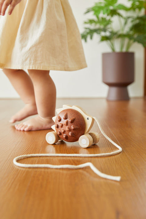 Pull - Along Hedgehog - Brown - www.toybox.ae