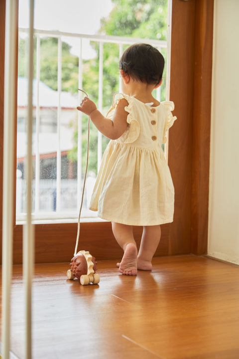 Pull - Along Hedgehog - Brown - www.toybox.ae