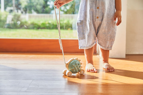 Pull - Along Hedgehog - Blue - www.toybox.ae