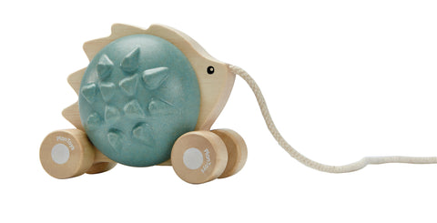 Pull - Along Hedgehog - Blue - www.toybox.ae