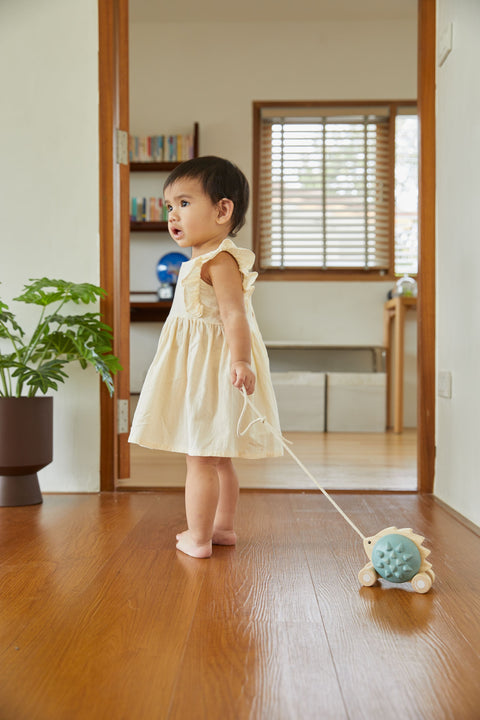 Pull - Along Hedgehog - Blue - www.toybox.ae