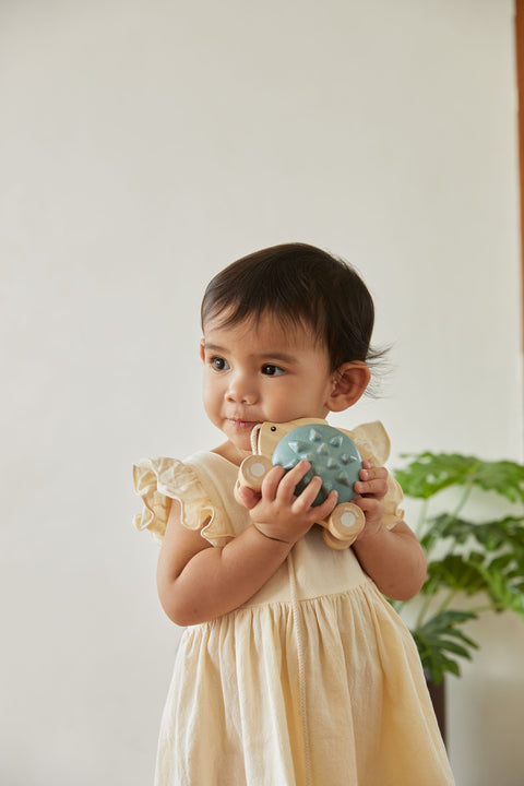 Pull - Along Hedgehog - Blue - www.toybox.ae