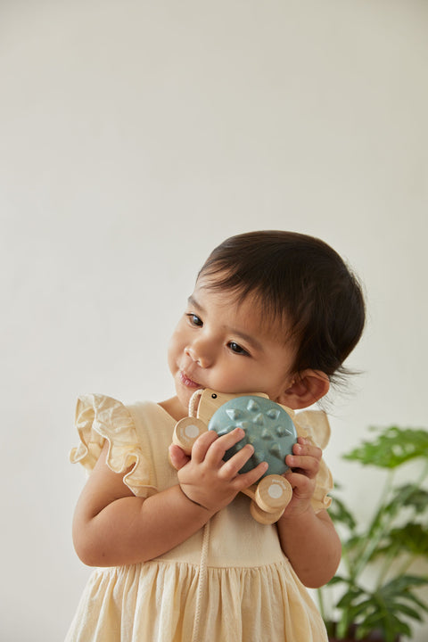 Pull - Along Hedgehog - Blue - www.toybox.ae