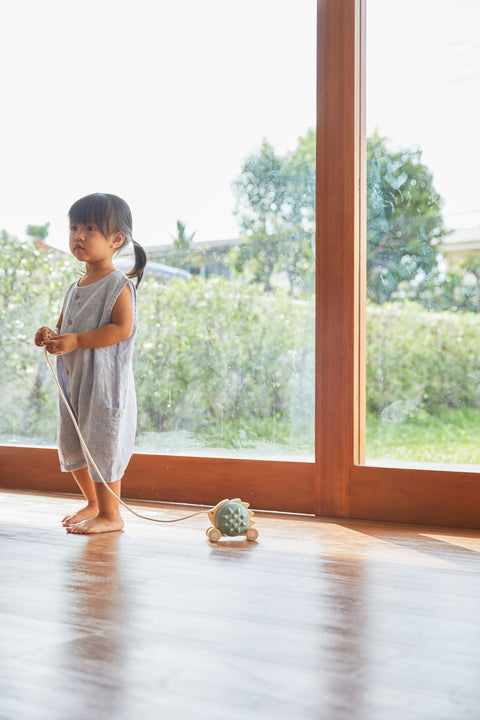 Pull - Along Hedgehog - Blue - www.toybox.ae