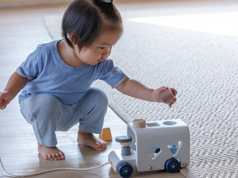 Sorting Bus - Orchard - www.toybox.ae