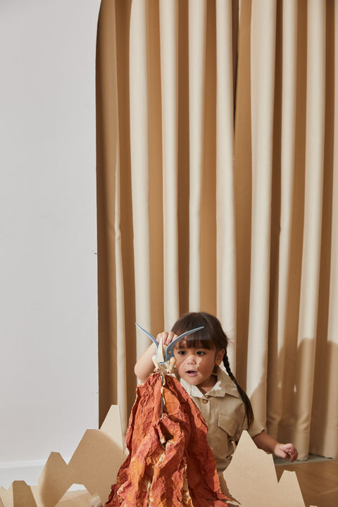 D.I.Y - Pterodactyls - www.toybox.ae