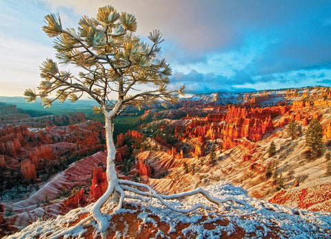 Eurographics Winter Sunrise-1000 Pcs - www.toybox.ae