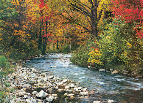 Eurographics Forest Stream - 1000 Pcs Puzzle - www.toybox.ae