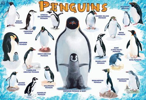 EuroGraphics Penguins 100 Pieces Puzzle - www.toybox.ae