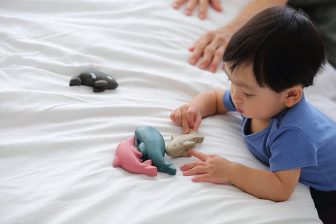 Sea Life Set - www.toybox.ae