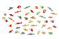 Find-A-Fish Colour Matching Game - www.toybox.ae