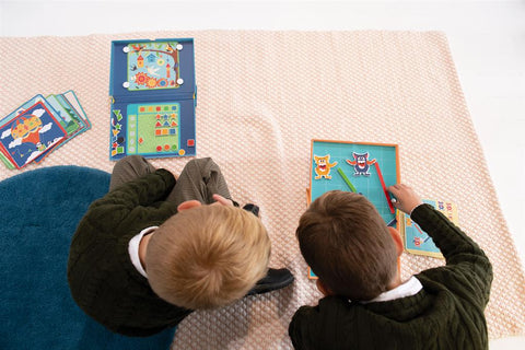 Animal Counting Magnetic, With 20 Challenges And 4 Themes - www.toybox.ae
