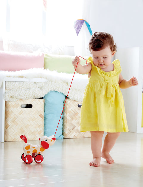 Hape Walk-A-Long Puppy/FSC - www.toybox.ae