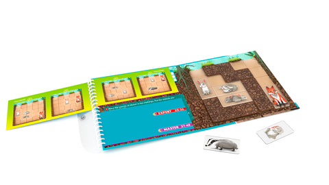 Down The Rabbit Hole Travel Game - www.toybox.ae