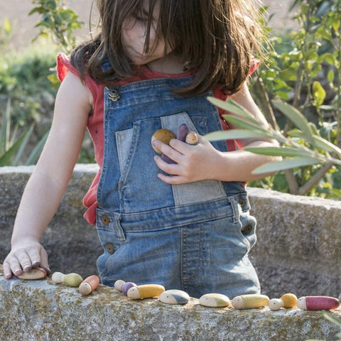 Insects - www.toybox.ae