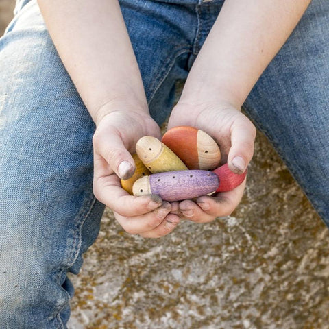 Insects - www.toybox.ae