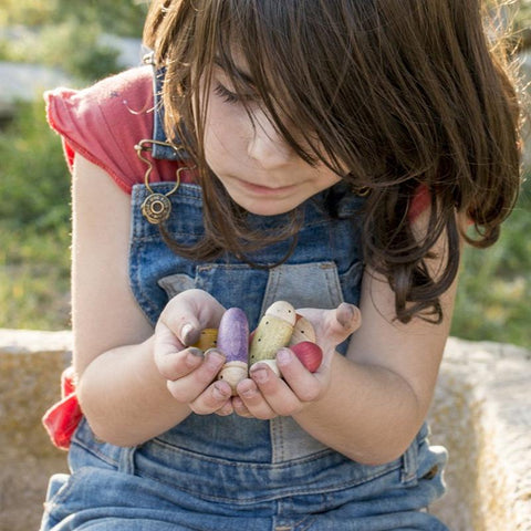 Insects - www.toybox.ae