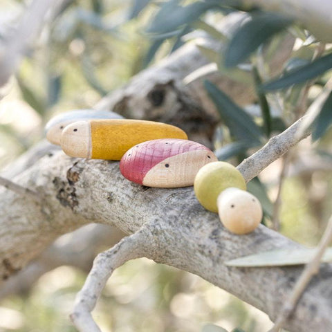 Insects - www.toybox.ae