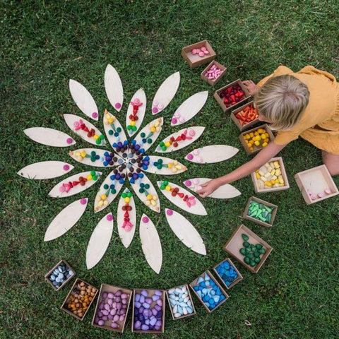 Petals platform - www.toybox.ae