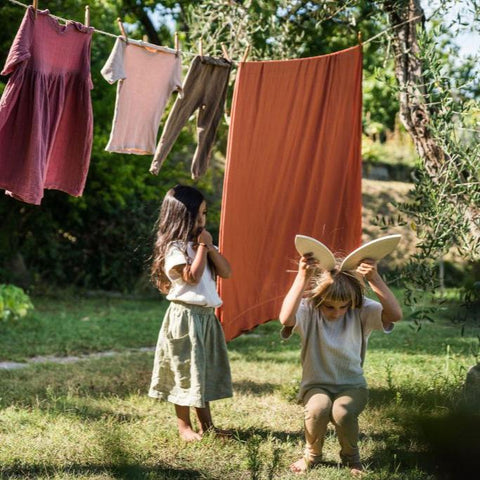 Petals platform - www.toybox.ae