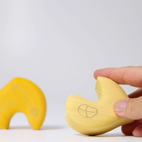 Onion House - www.toybox.ae