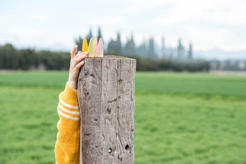 Sticks - www.toybox.ae