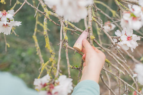 Sticks - www.toybox.ae