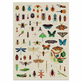 Poppik x Cloudberries - Insects 500-piece jigsaw puzzle - www.toybox.ae