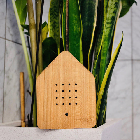 Zwitscherbox Cherry - www.toybox.ae