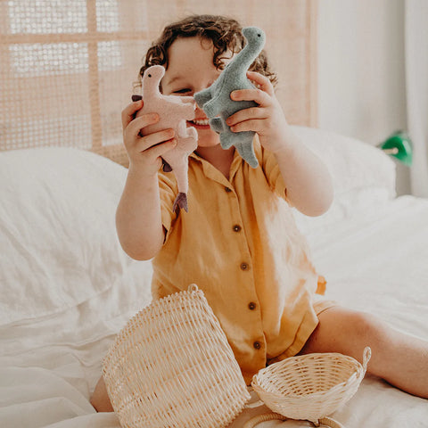 Holdie Dinosaurs - www.toybox.ae
