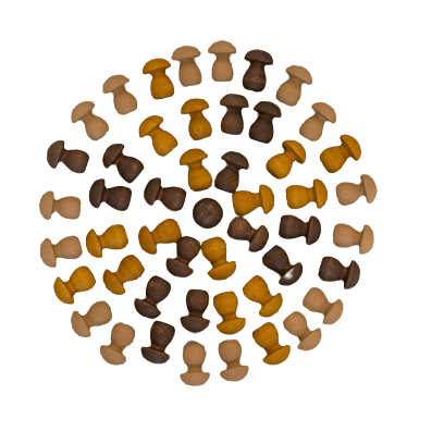 Grapat Mandala Brown Mushrooms – 36 Wooden Loose Parts 