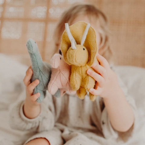 Holdie Dinosaurs - www.toybox.ae