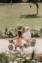 2-in-1 Tiny Tot PLUS Tricycle & Balance Bike - Rose - www.toybox.ae