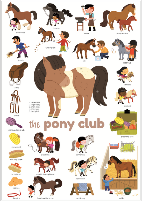 Mini Sticker Poster - The Pony Club (+27 Stickers) - www.toybox.ae