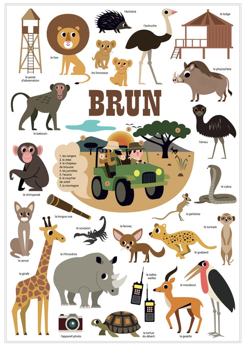 Mini Sticker Poster - Learning Colours - (Brown) - www.toybox.ae