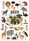 Mini Sticker Poster - Learning Colours - (Brown) - www.toybox.ae
