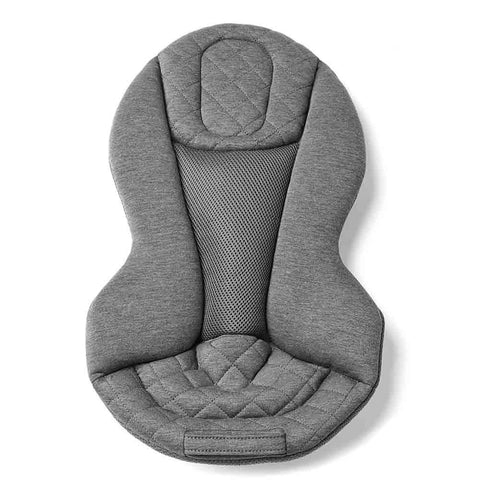 Ergobaby Evolve Bouncer Charcoal Grey