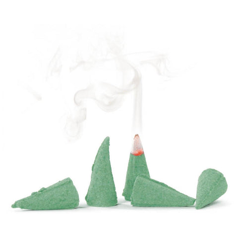 KNOX Incense Candles Forest Fragrance (24) - www.toybox.ae