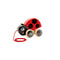 Ladybug Pull Along - www.toybox.ae