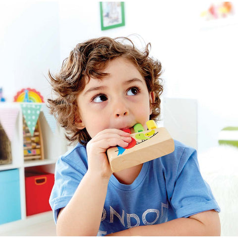 Rainbow Pan Pipe - www.toybox.ae