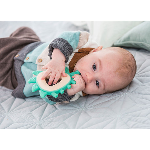 Teether Hedgehog - www.toybox.ae