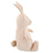 Plush toy small - Mrs. Rabbit - www.toybox.ae