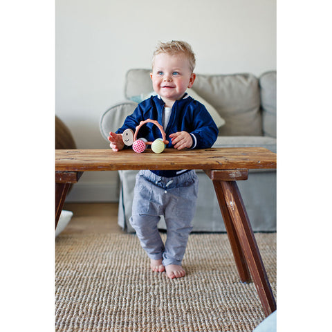 Turbo Turtle - www.toybox.ae